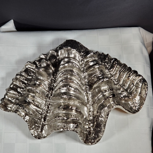 XL Sea Shell - Picture 4 of 4